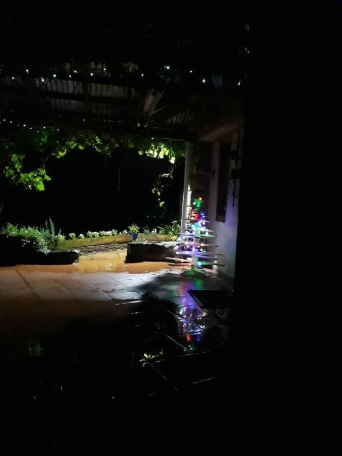 Country Lane Guesthouse ホウィック エクステリア 写真